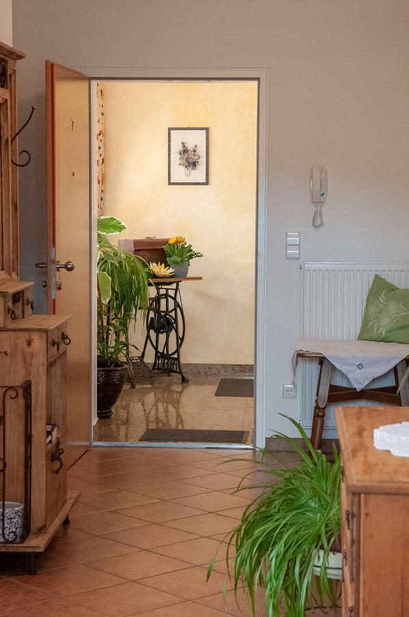 Pension Hiesel-Villa Untersbergblick Anthering Bagian luar foto