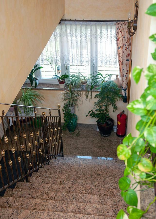 Pension Hiesel-Villa Untersbergblick Anthering Bagian luar foto